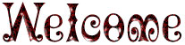 collection de bouton 26 - w